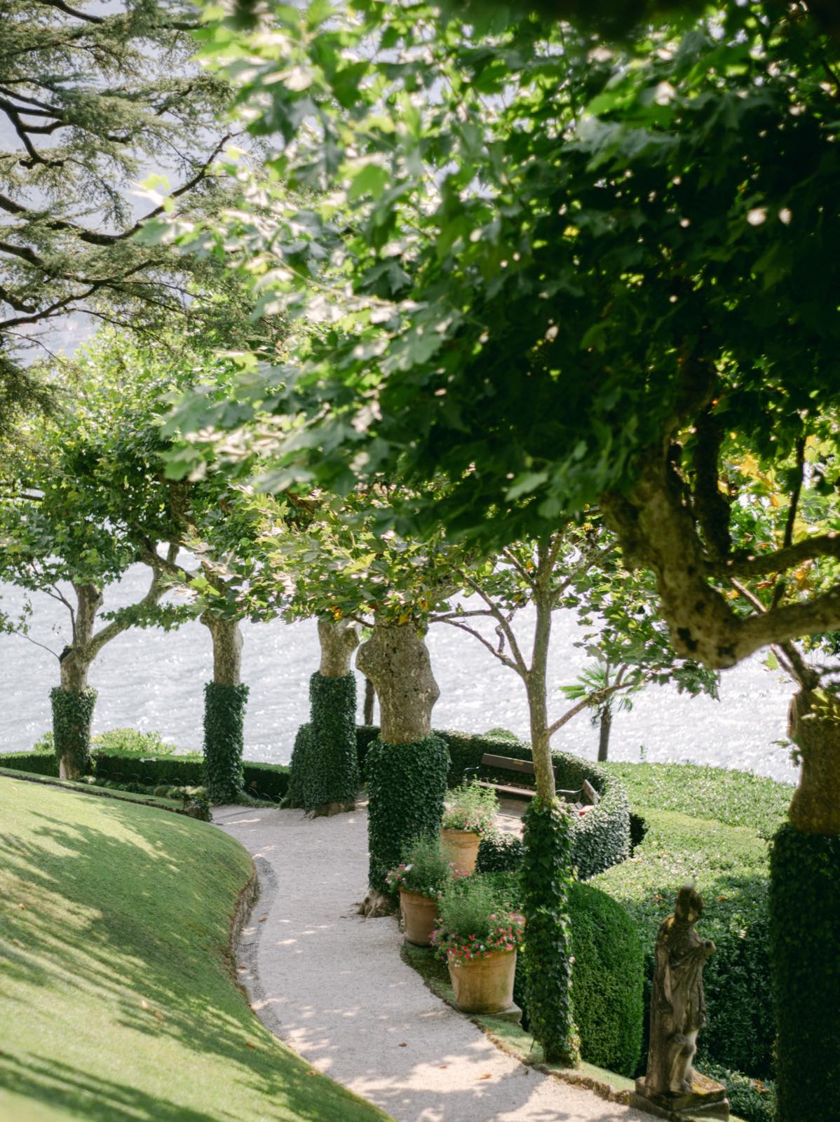A garden path under clipped plane trees, with the lake beyond